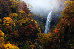 Japan Autumn