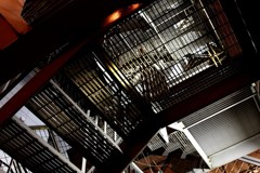 Iron Steps