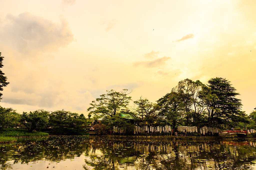 鶴岡八幡宮夕景