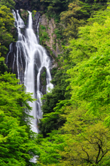 神庭の滝