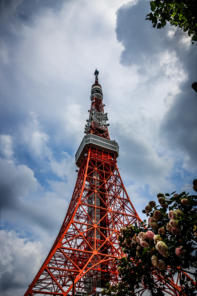 The Tower