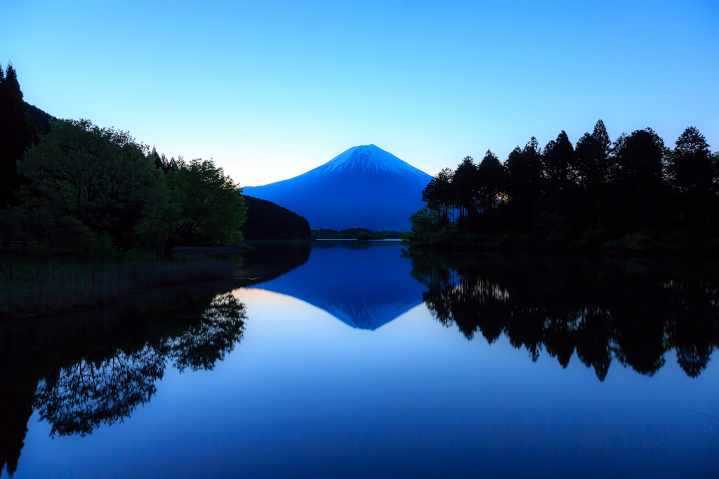 田貫湖富士朝景