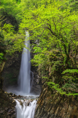 大山滝