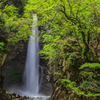 大山滝