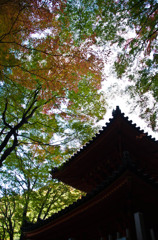 多宝塔を望む