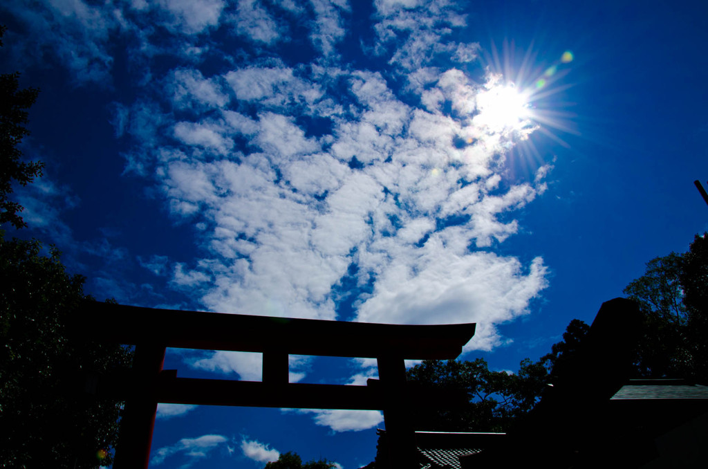 雲海