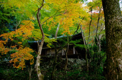 黄色い庵