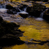 黄金色の川