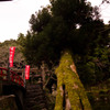 本能