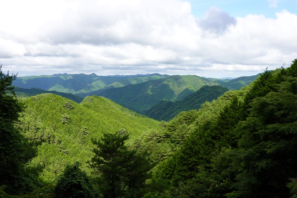 高野山