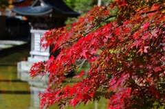 大峯山龍泉寺