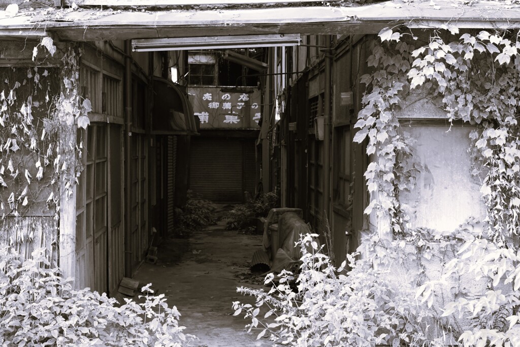 廃墟