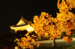 岸和田城