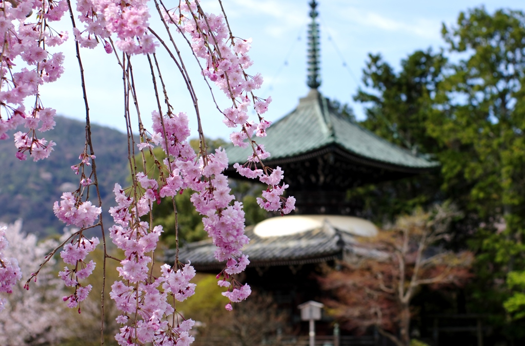 清凉寺多宝塔