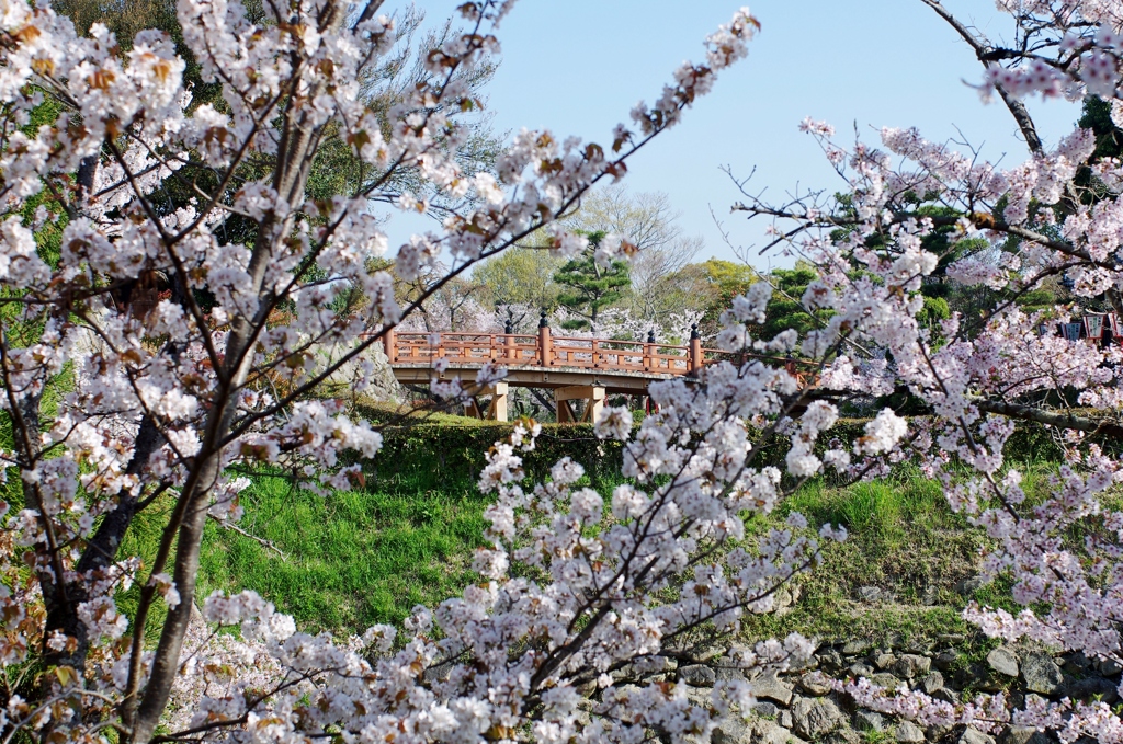 郡山城