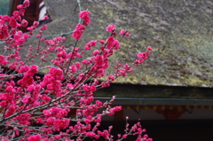 談山神社