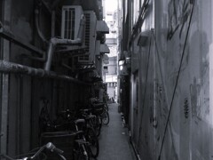 路地裏