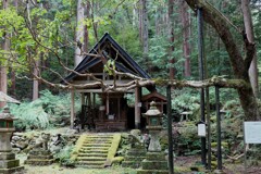 木霊のいる森
