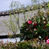 嵯峨野茅葺き屋根の家