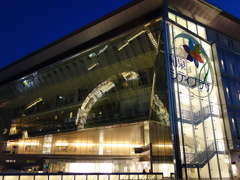 Reflection Reflection