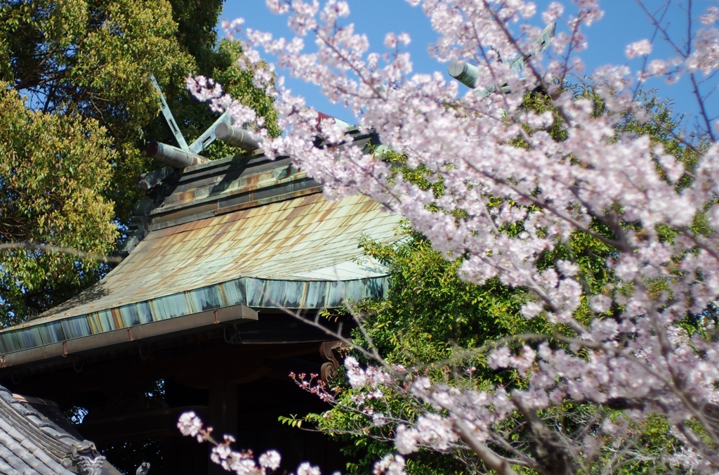 郡山城