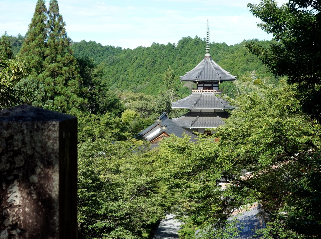 吉野山 金峰山寺