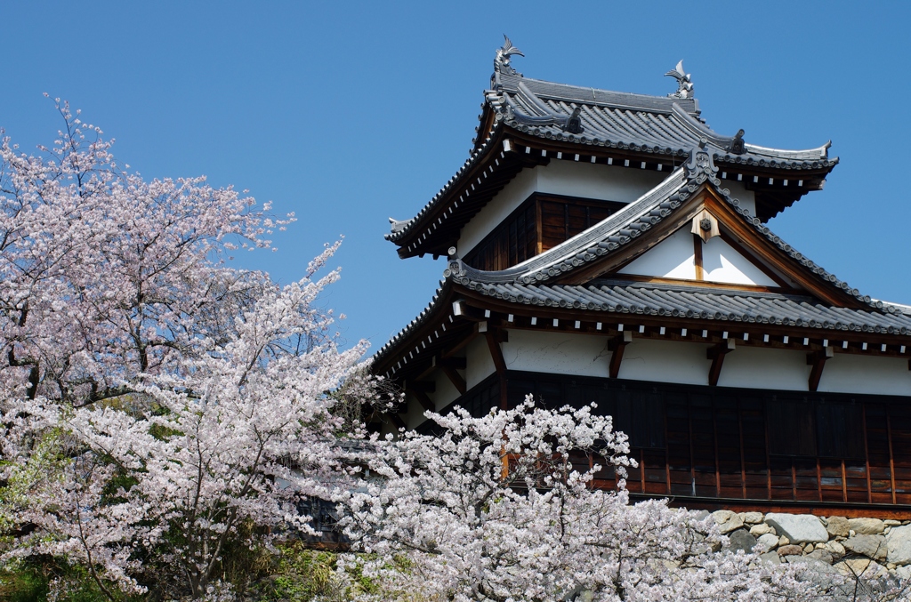 郡山城