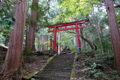 木霊のいる森