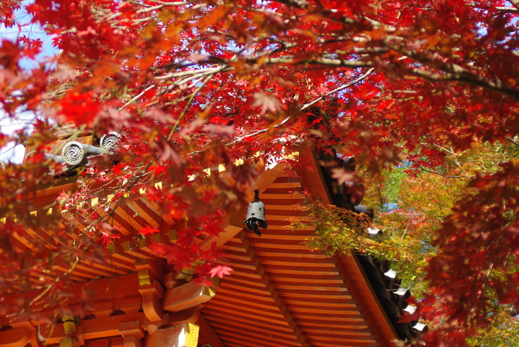 大威徳寺多宝塔