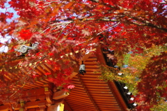 大威徳寺多宝塔