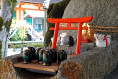 上賀茂神社　八咫烏
