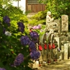 矢田寺10
