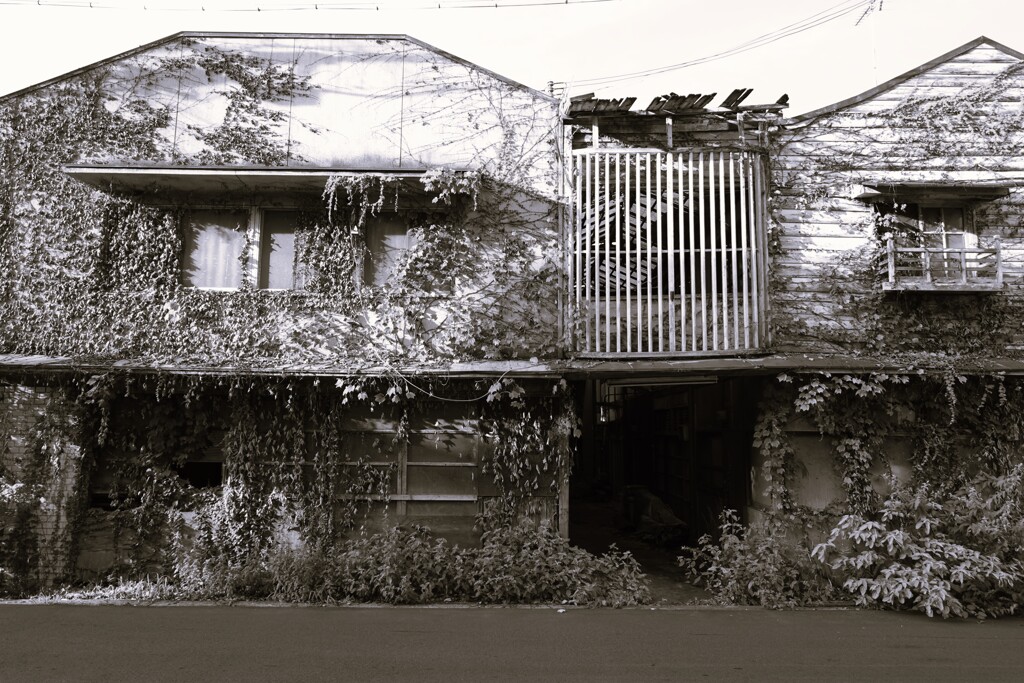 廃墟