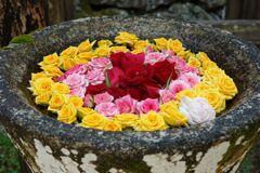 丹生都比売神社