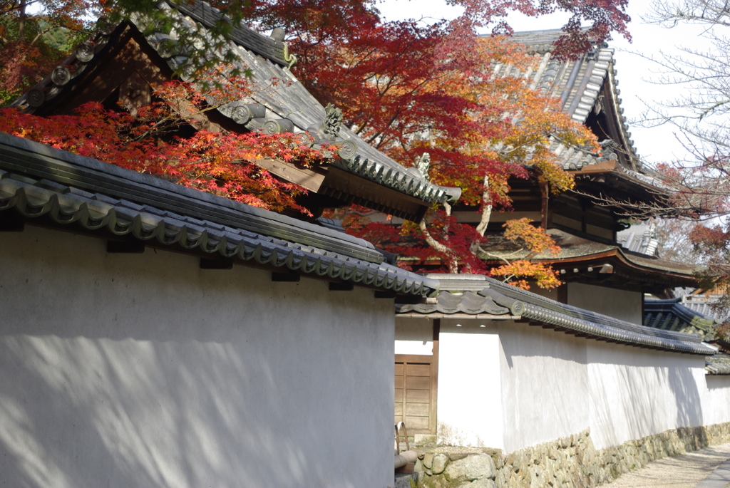 女人高野金剛寺
