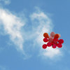 空高く