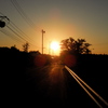 夕日と電線