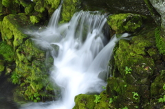 _DSC0252
