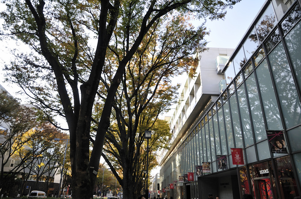 snap_表参道3