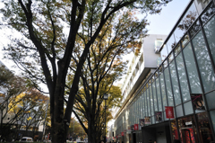 snap_表参道3
