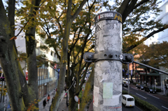 snap_表参道