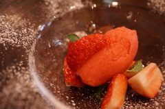 sorbet