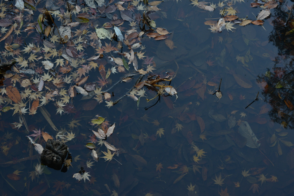 Ｄｅｅｐ　ｗａｔｅｒ