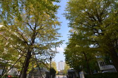 秋色2011