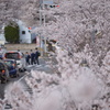 新学期