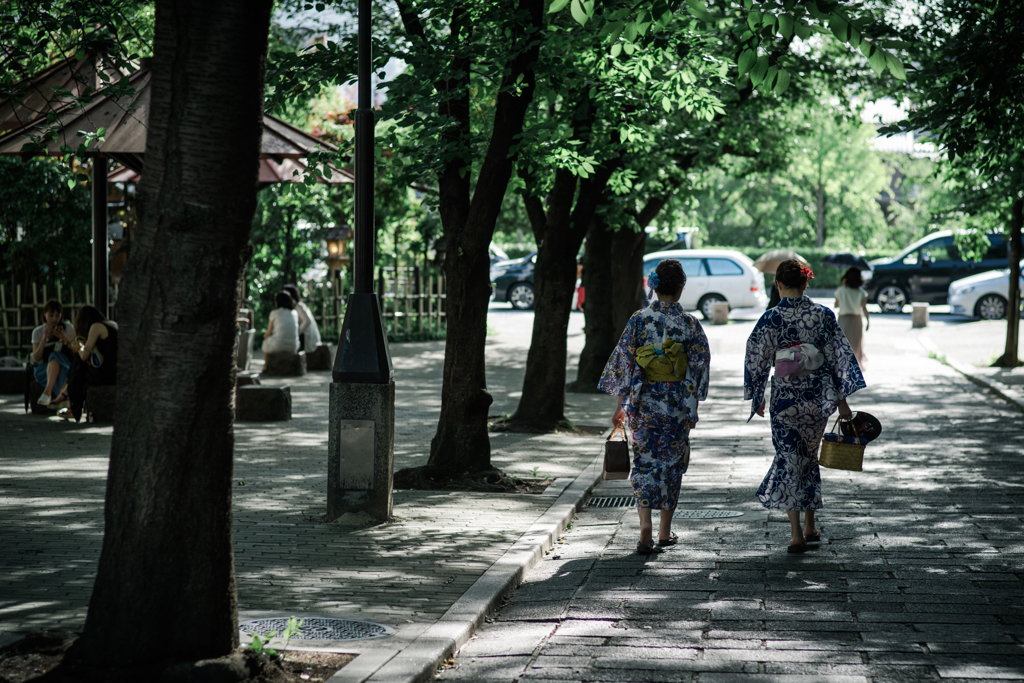 木漏れ日。