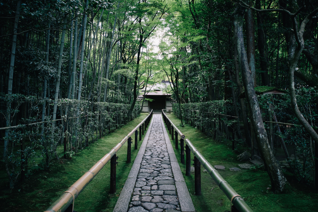 高桐院。