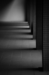 光と影