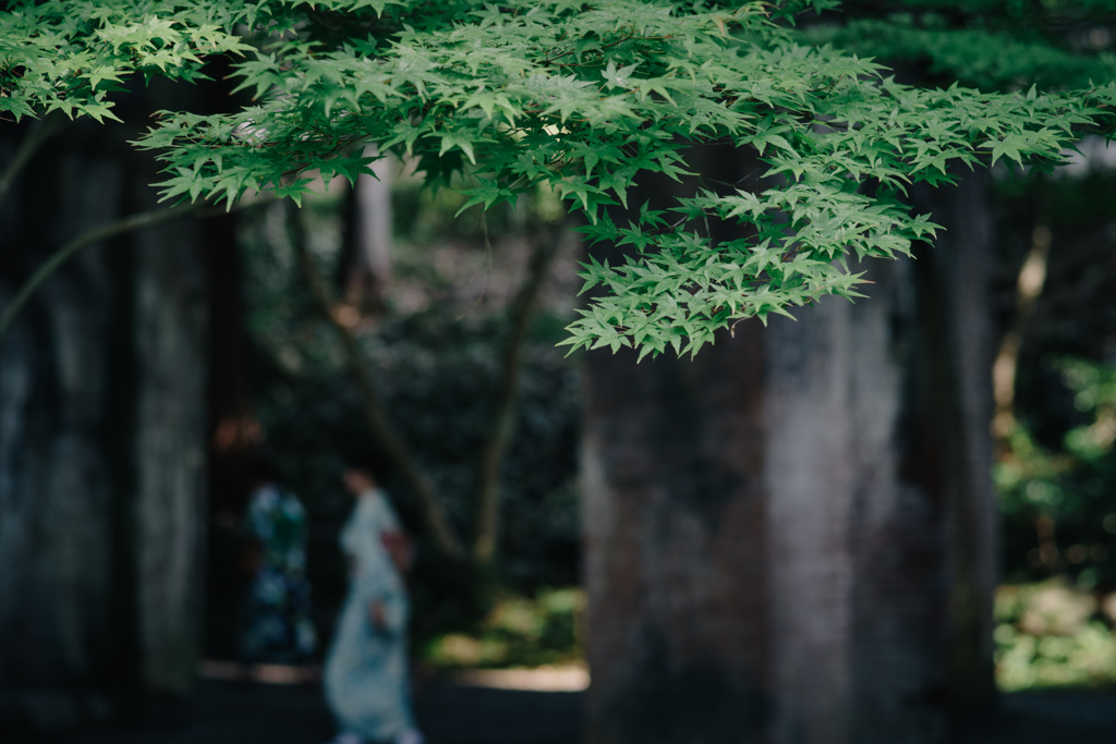 夏、京都。