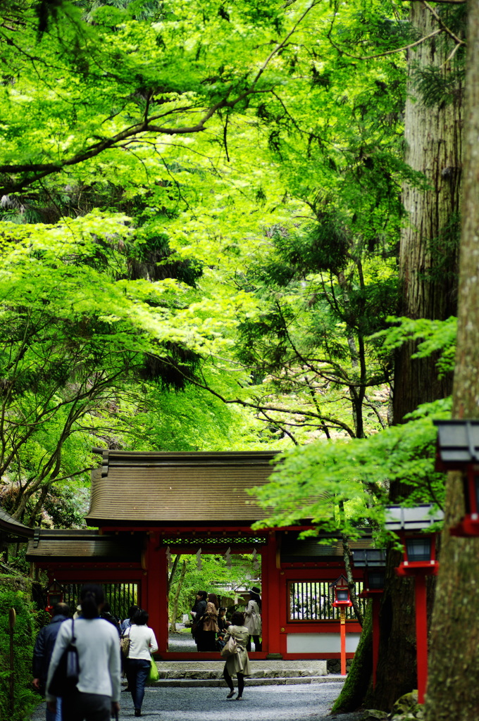 貴船神社